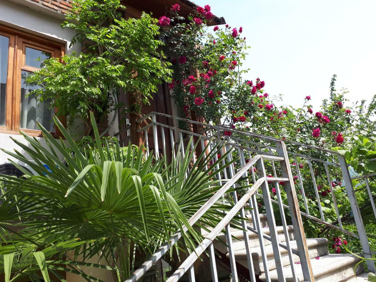 Old House With Garden Area Apartment