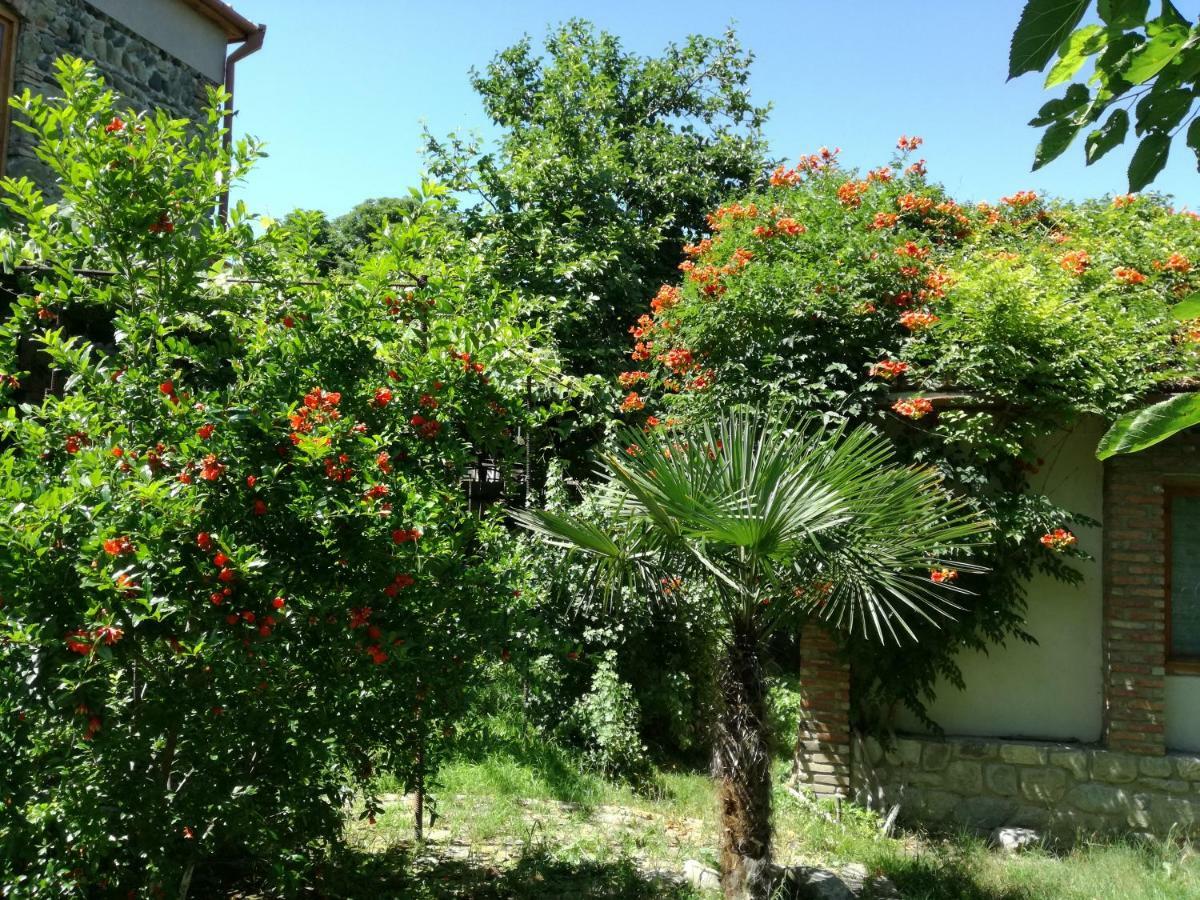 Old House With Garden Area Apartment